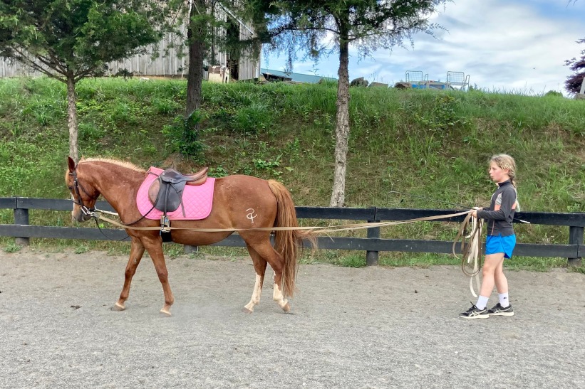 Grovespring Farm in Culpeper, Virginia