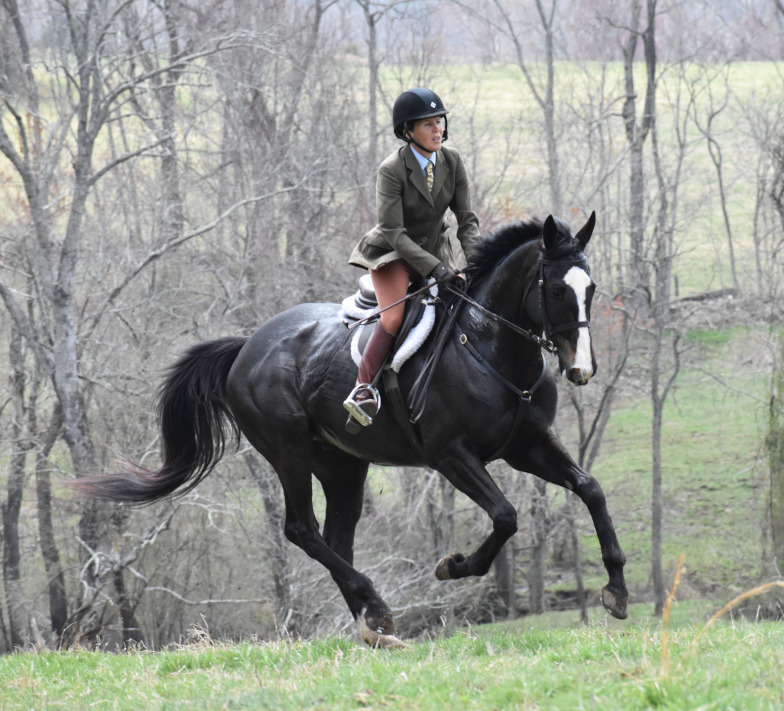 Grovespring Farm in Culpeper, Virginia