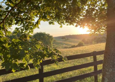 Grovespring Farm in Culpeper, Virginia