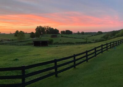 Grovespring Farm in Culpeper, Virginia