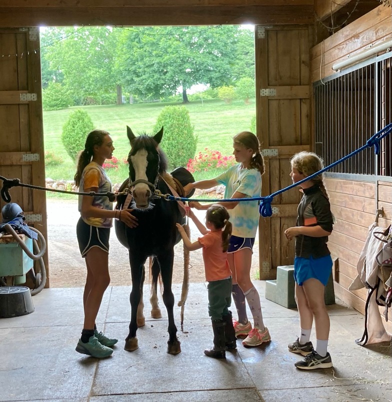 Grovespring Farm in Culpeper, Virginia