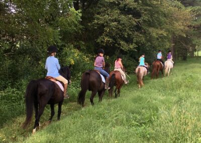 Grovespring Farm in Culpeper, Virginia