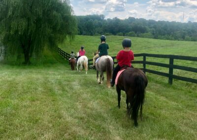 Grovespring Farm in Culpeper, Virginia