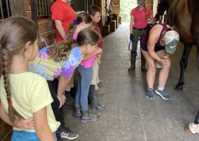 Horseback riding lessons at Grovespring Farm in Culpeper, Virginia