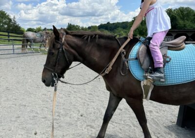 Horseback riding camp at Grovespring Farm in Culpeper, Virginia