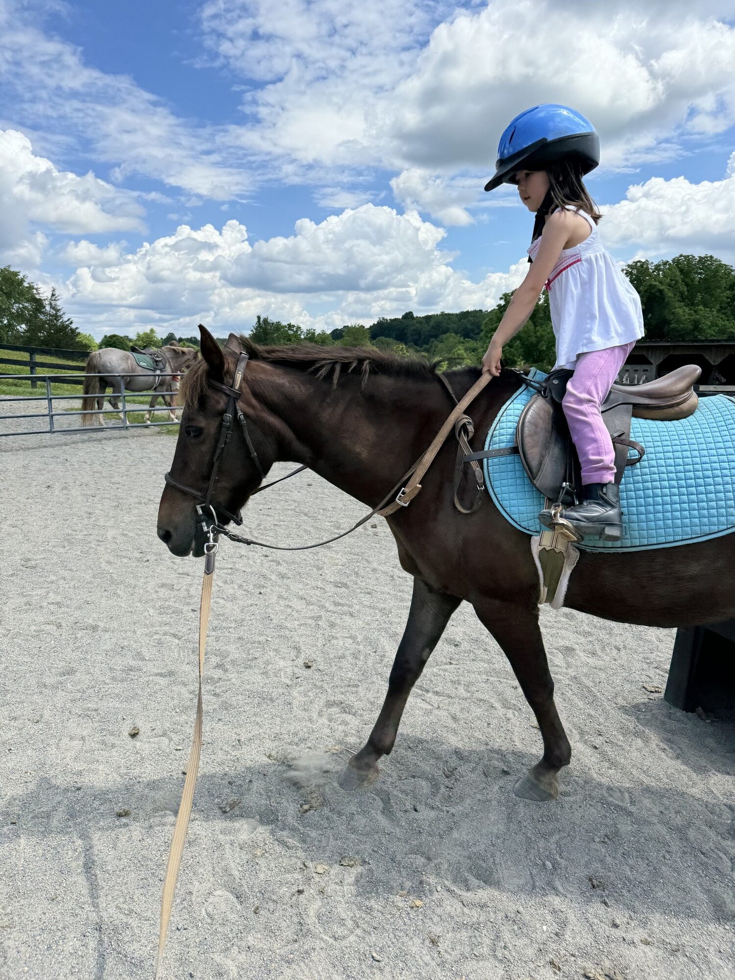 Horseback riding camp at Grovespring Farm in Culpeper, Virginia