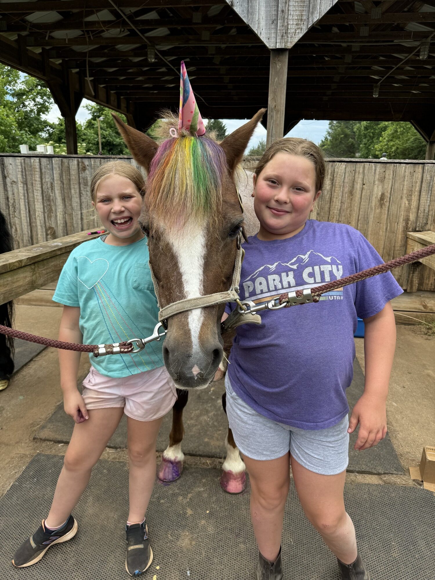 Horseback riding camp at Grovespring Farm in Culpeper, Virginia